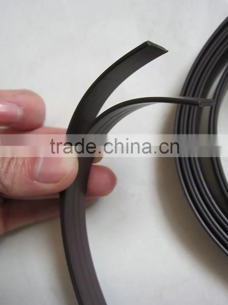Shower door seal magnetic door seal