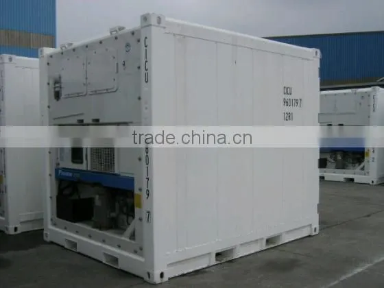 Special container/Reefer/Reefer container/container/transportation to South America
