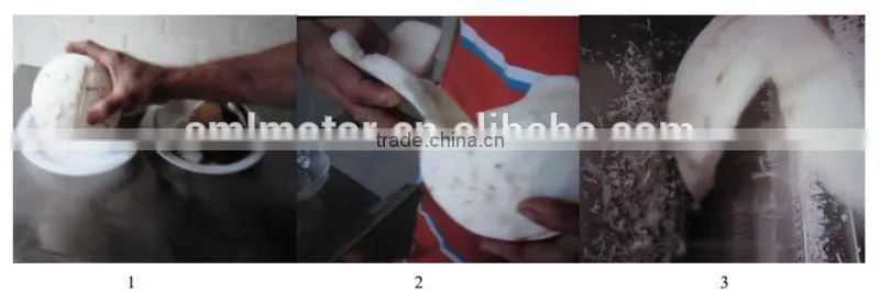 Stainless Steel Coconut Paring Machine / Coconut Grater