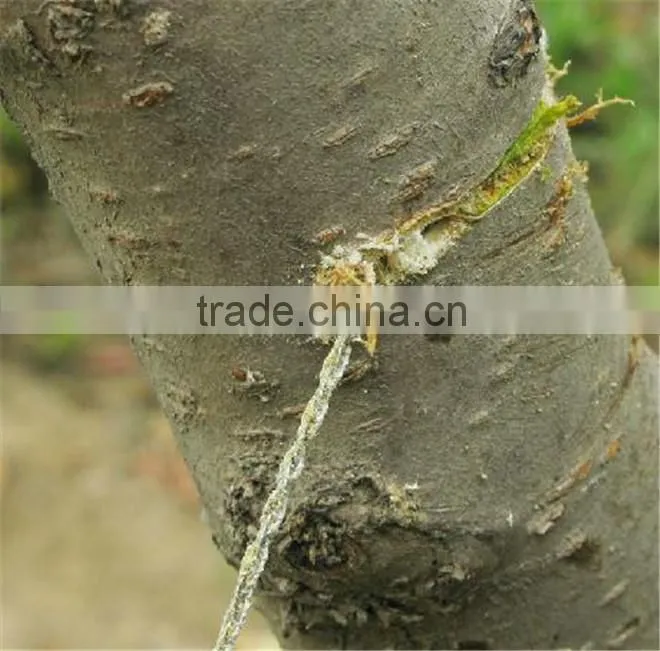 Garden Tool Wire saw,Chain saw,Wire saw wood,Wood Cutting Chain Saw