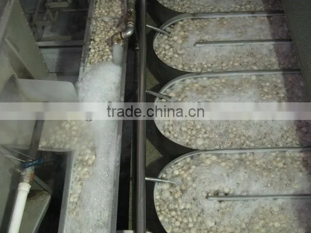 Canned Whole Button Mushroom