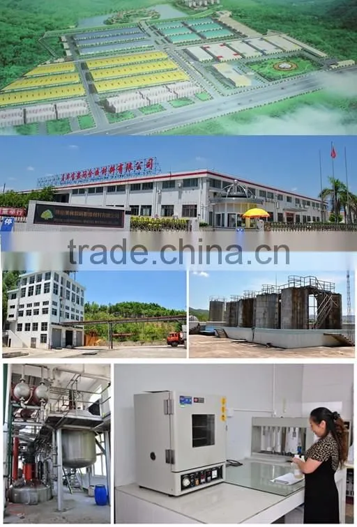 BOPP Material bopp thermal lamination film with eva coating