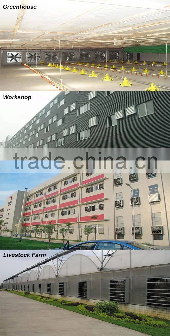 36 inch wall mounted exhaust fan agricultural/industrial/poultry ventilator in Guangzhou