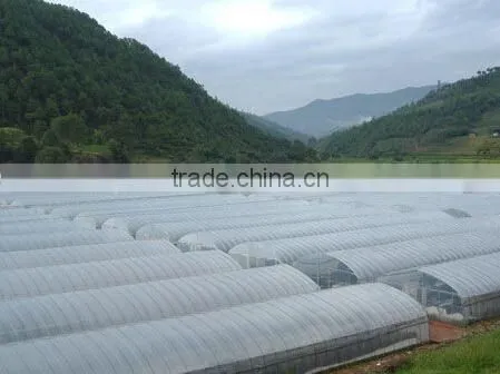 New roofing material for greenhouse
