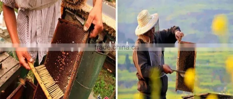 2017 Hot Selling Beekeeping Tools 3 Rows Bristle Bee Brush for sale