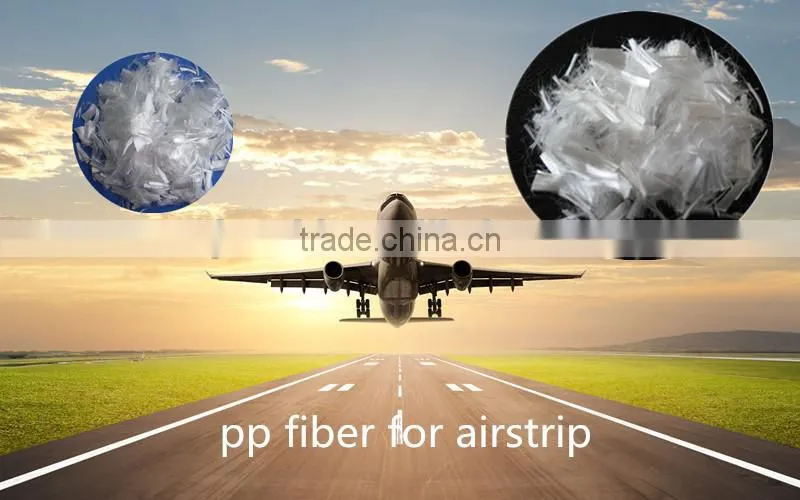 PP Fiber Monofilament form 19mm