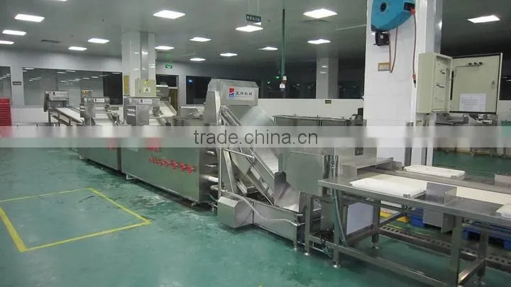 TW-307L automatical leafy vegetable washer (Video)