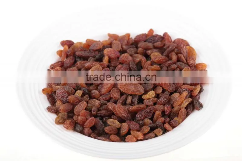 Grape Multiple layer continuous type mesh belt dryer