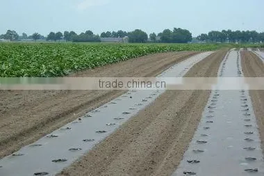 All kinds of colorful biodegradable plastic agricultural film