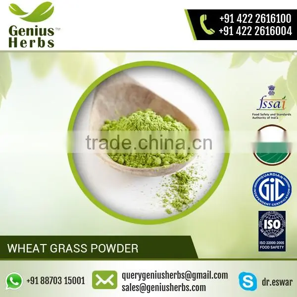 High Grade Wheat Grass Powder For OEM