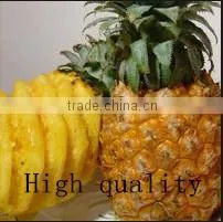 Automatic Pineapple Peeling Machine