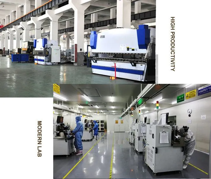 STRAWBERRY Quick Freezing Processing Line Machine