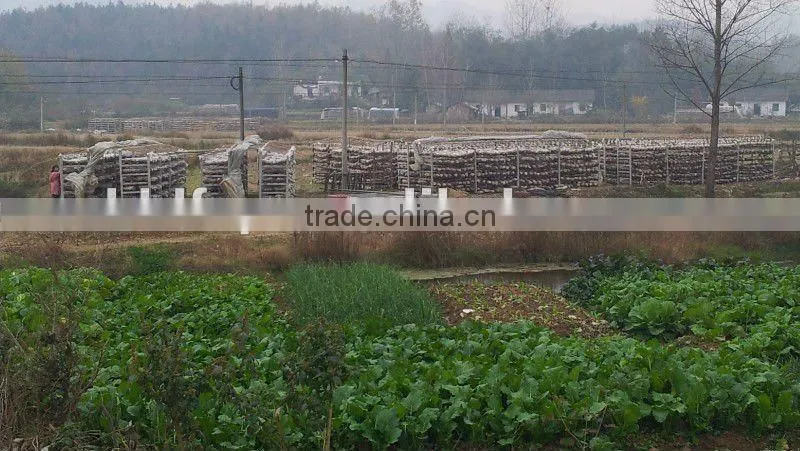 sui zhou dried mushroom for sale