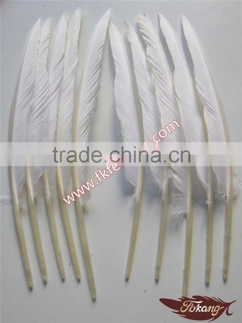 Wholesale Craft Goose Feather For Feather Pen Decoration