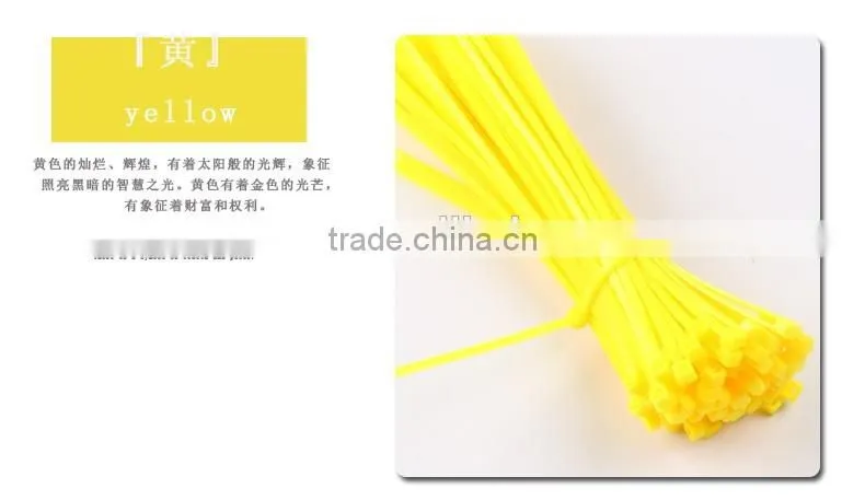 Heat Resisting Nylon 66 Cable Ties