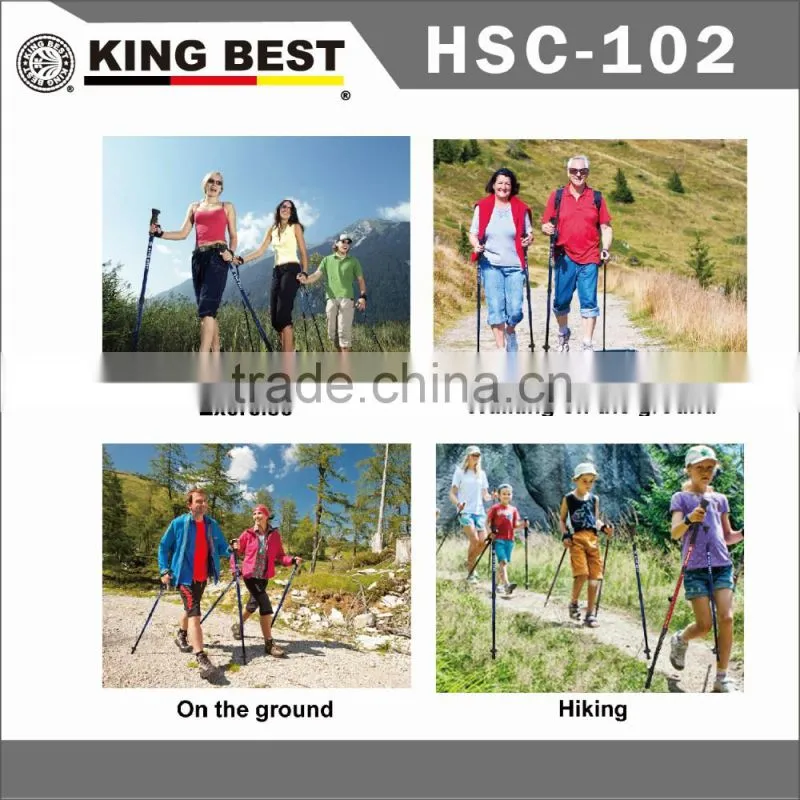 KING BEST Wholesale Carbon trekking pole 2-SECTION Hiking Pole nordic walking stick