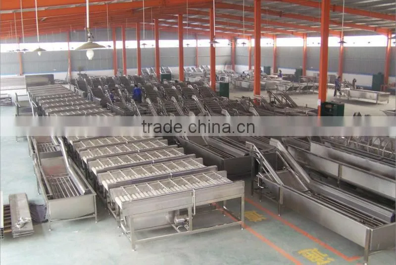 Automatic vegetable washing line/Hot sale vegetable procesing line/vegetable cutting machine