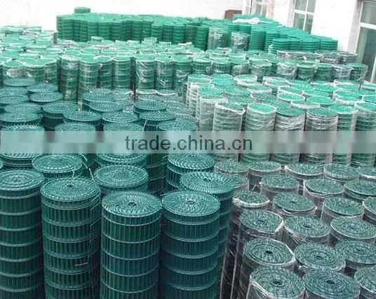 PVC/PE/PP coated holland wire mesh/fence mesh