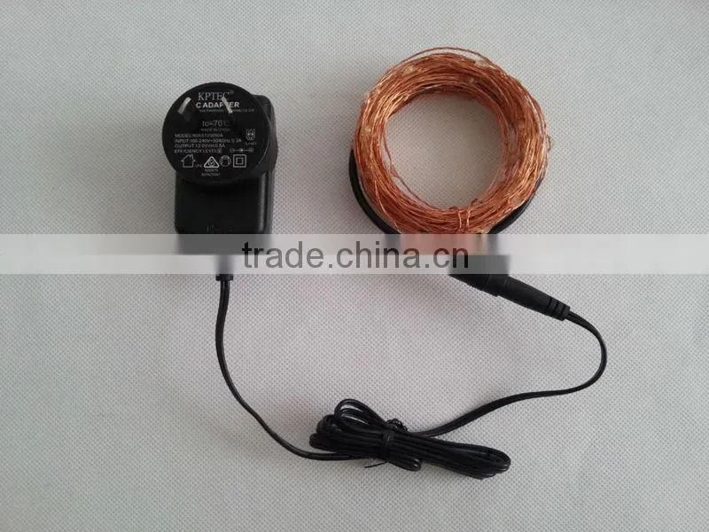 6M LED rice lights with 4 customerized plug adapter