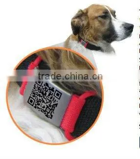 personalized dog training pet collar with ID tag