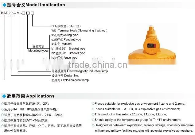 BAD85 explosion proof induction lamp