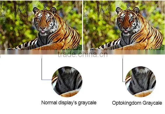 10mm Pixels and Video Display Function p10 led module