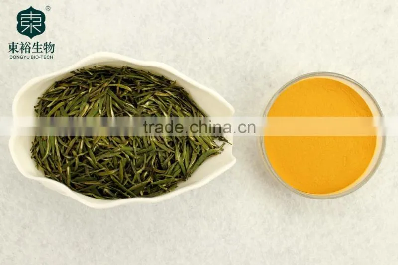 GMP factory supplys green tea powder EGCG antioxidant products instant powder
