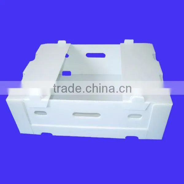 Corrugated Plastic Fruit Boxes For Shipping