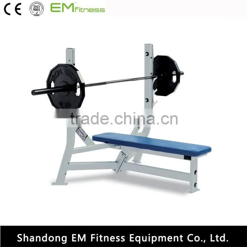 life fitness equipment Roman chair back extension