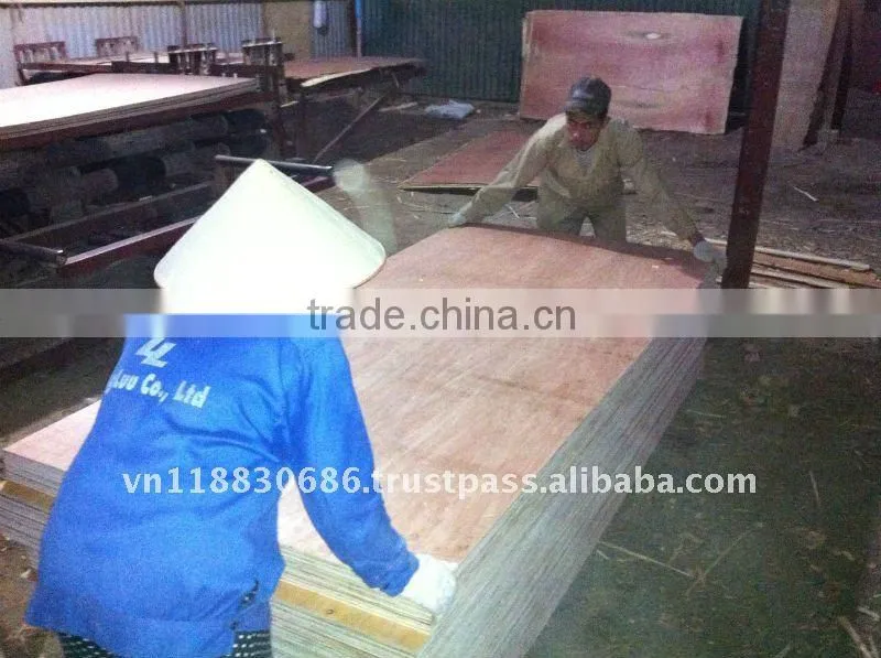 Plywood for construction/packing grade -manufacturer VietNam