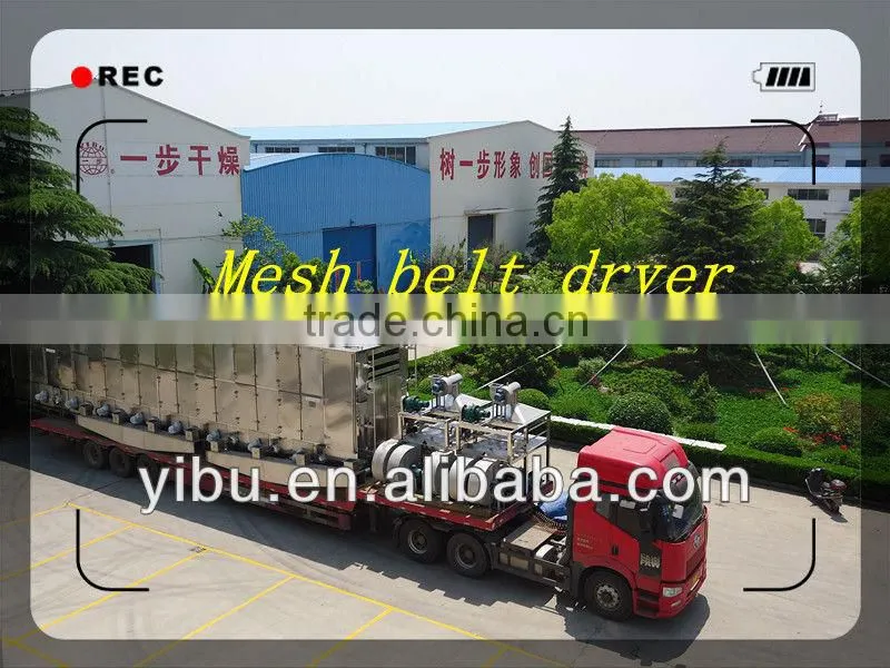 Dw continuous Mesh -Belt Dryer for instant noodle