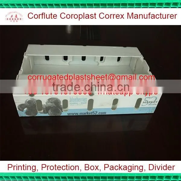 corrugated board 2kg cherry packaging box