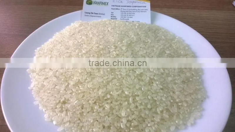 Vietnamese Long Grain White Rice GOOD PRICE (Whatsaaps/Viber:+84965152844)