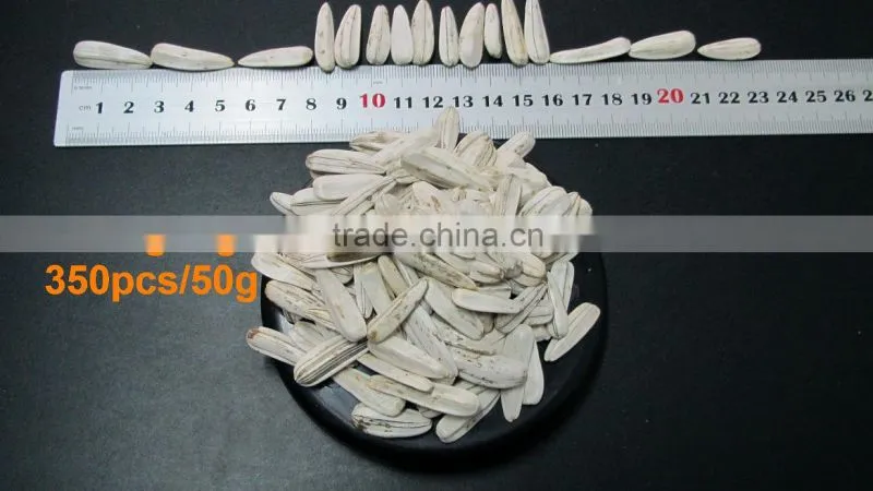 2014factory low price white sunflower seed