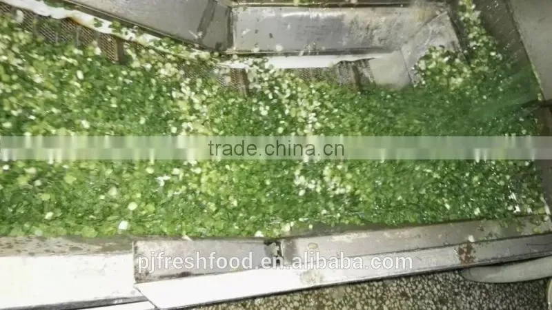 IQF Scallions