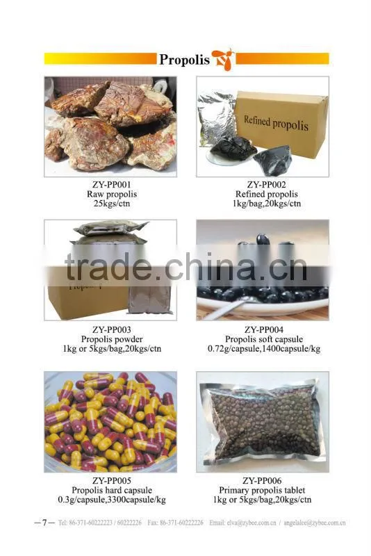 Health food bee Propolis Powder