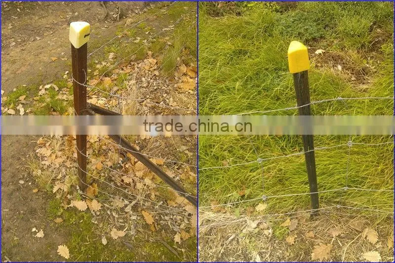 hot dip galvanized and paint dark green Steel Y Fence Post for Middle East and Israel Market