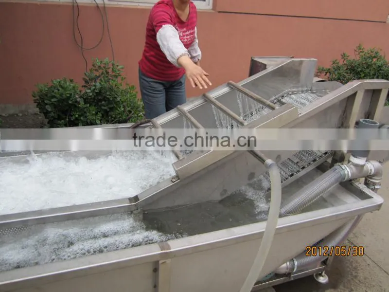 Automatic vegetable washing machine,fruit washing equipment