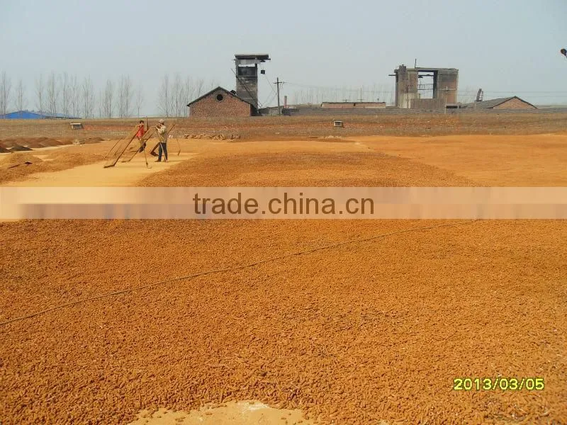 Biogas desulfurization,iron oxide desulfurizer,natural gas