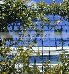 Trellis Mesh