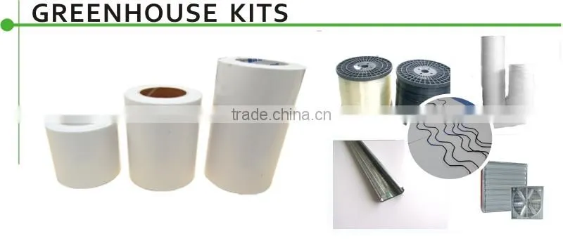 sunlight greenhouse from China manufacturer