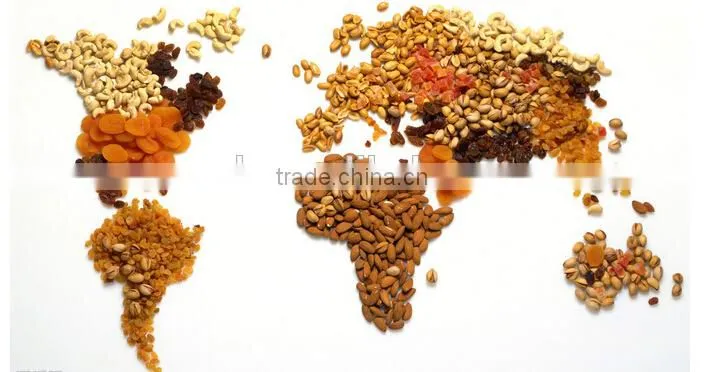 2015 new functional stainless steel commercial nuts roasting machine