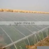 black and transparent agriculture film