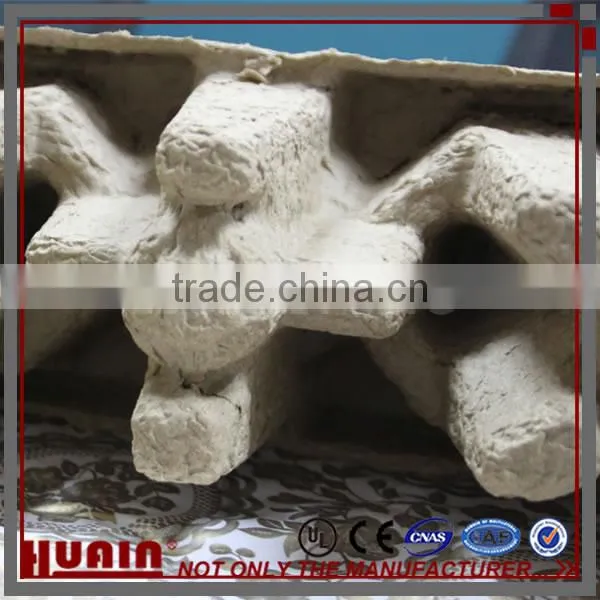 Molded Paper Product