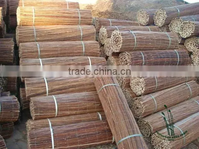 willow fence