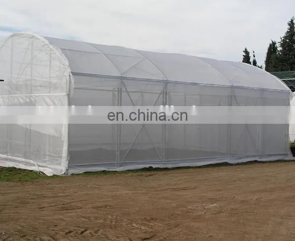 40*40,3*50 m Insect proof mesh nylon insect net