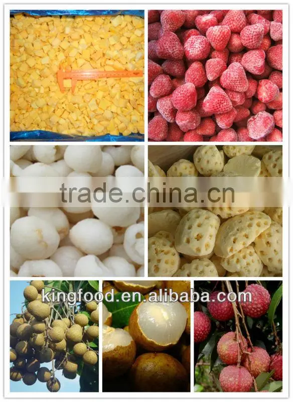 Nely processed mango frozen mango pulp diced mango