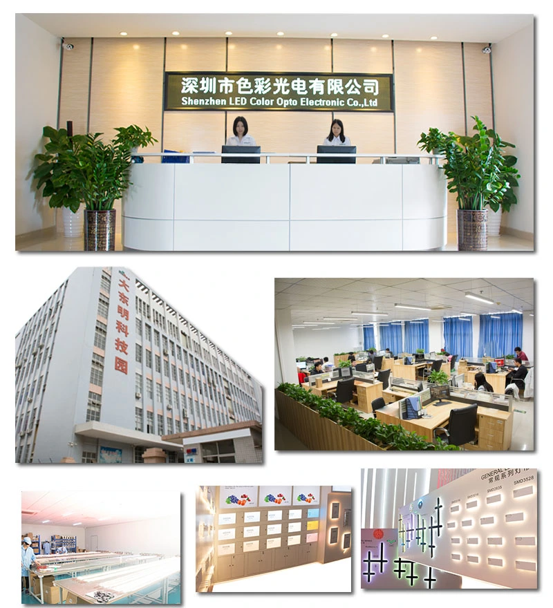 Shenzhen LED Color Co.,LTD company overview - view 1
