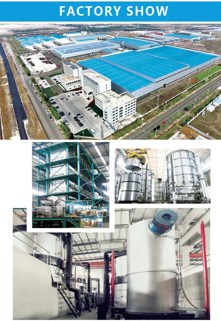 SPTE Tinplate Food Grade Lacquer T3 Tin Free Steel Electrolytic Tinplate Sheet