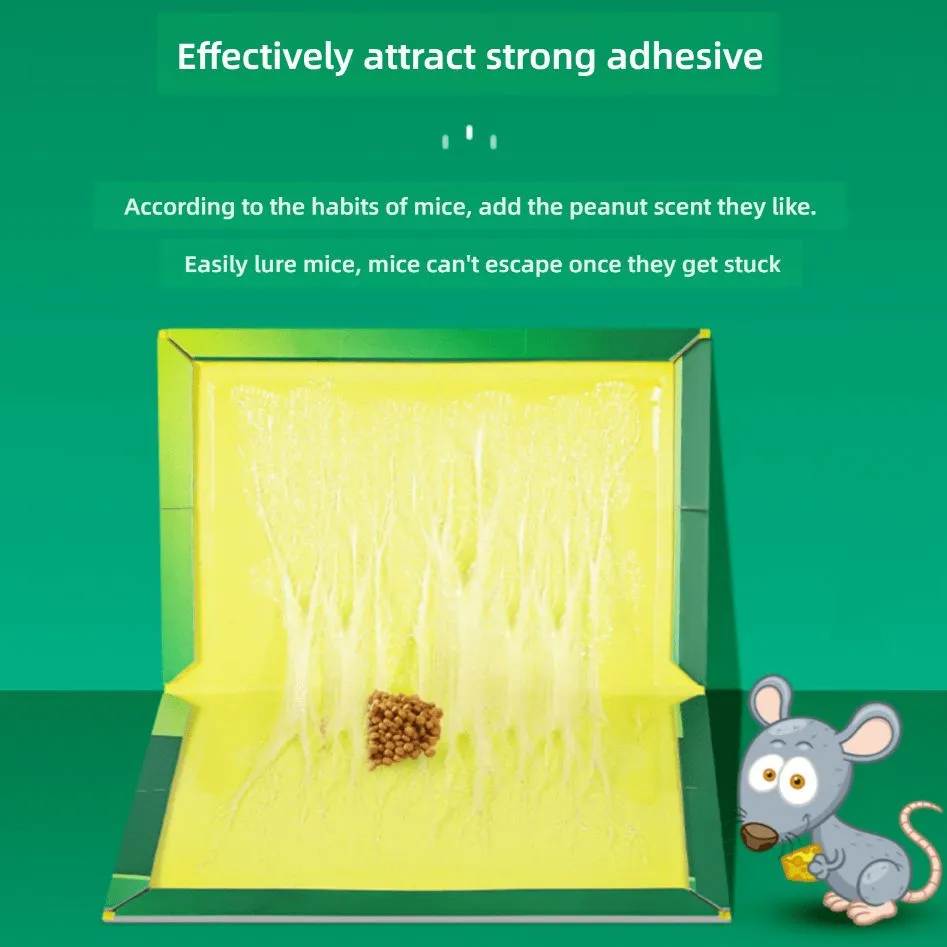 glue traps4